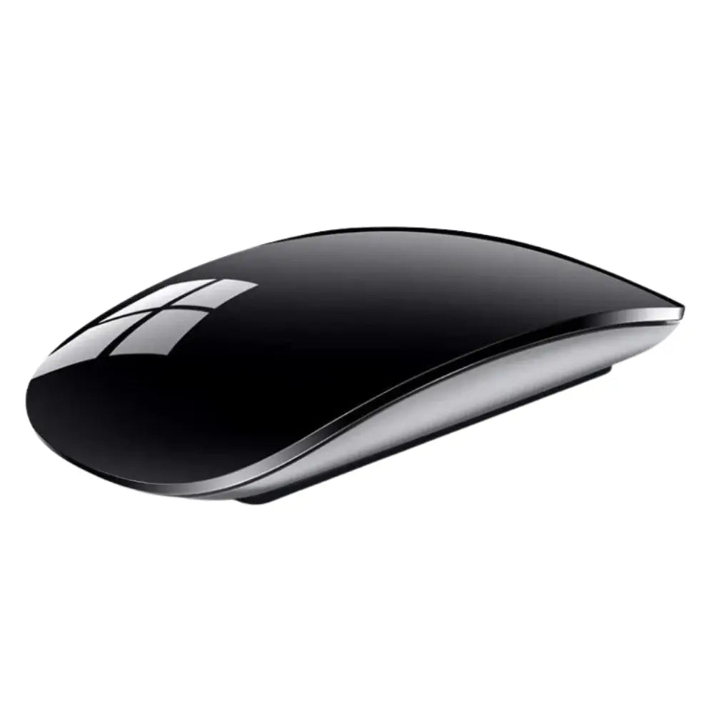 Souris Sans Fil ModuloDesk