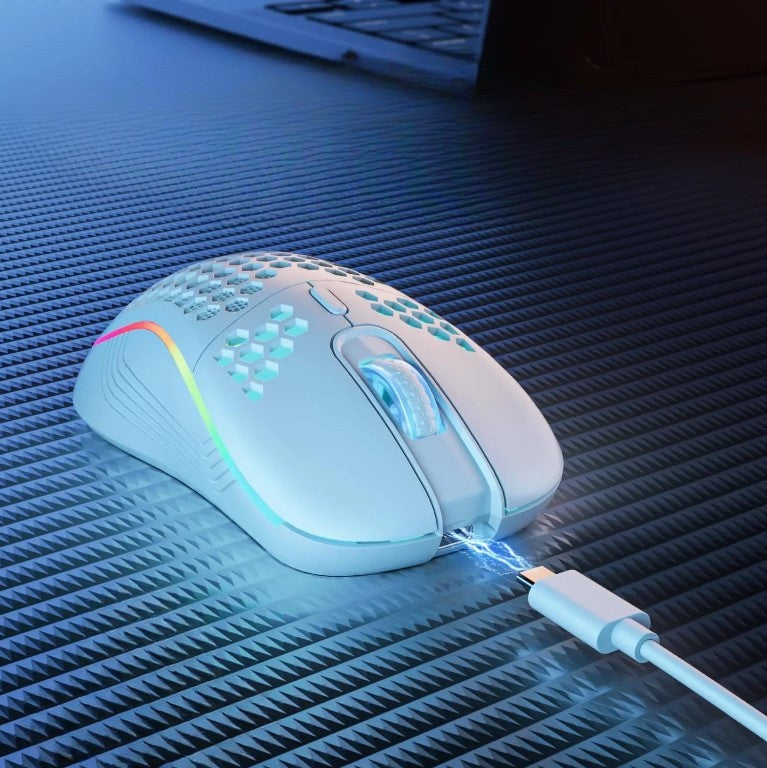 Souris Sans Fil Perforée ModuloDesk