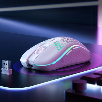 Souris Sans Fil Perforée ModuloDesk