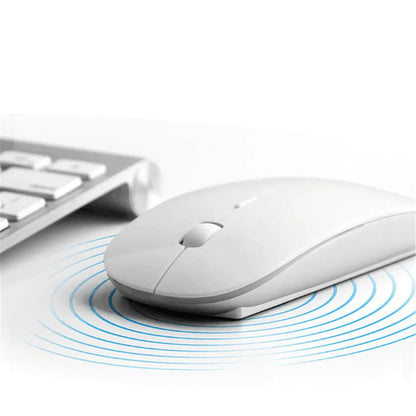 Souris Sans Fil Extra Plate ModuloDesk