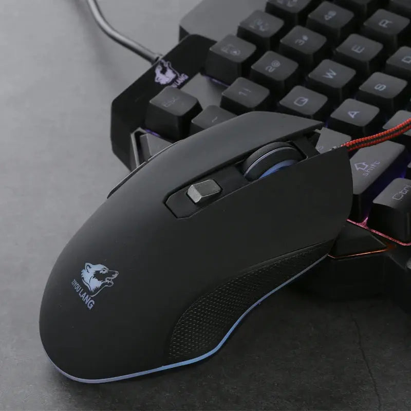 Souris Filaire Noir Mat ModuloDesk