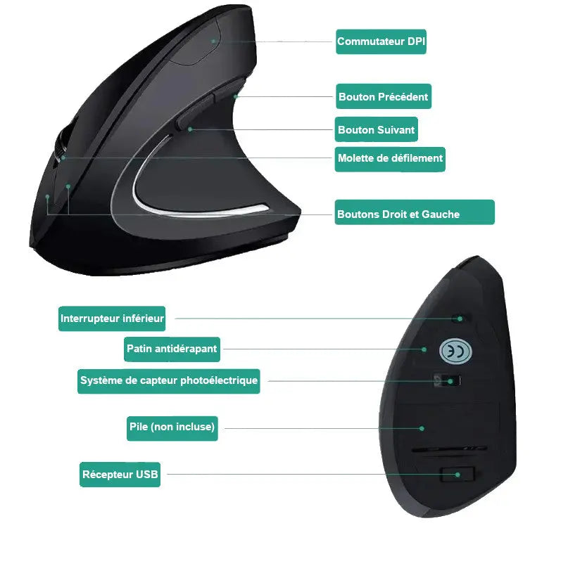 Souris Verticale Sans Fil Noir ModuloDesk
